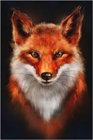 Profil de Kepa, 25 ans, Échangiste à Disraeli