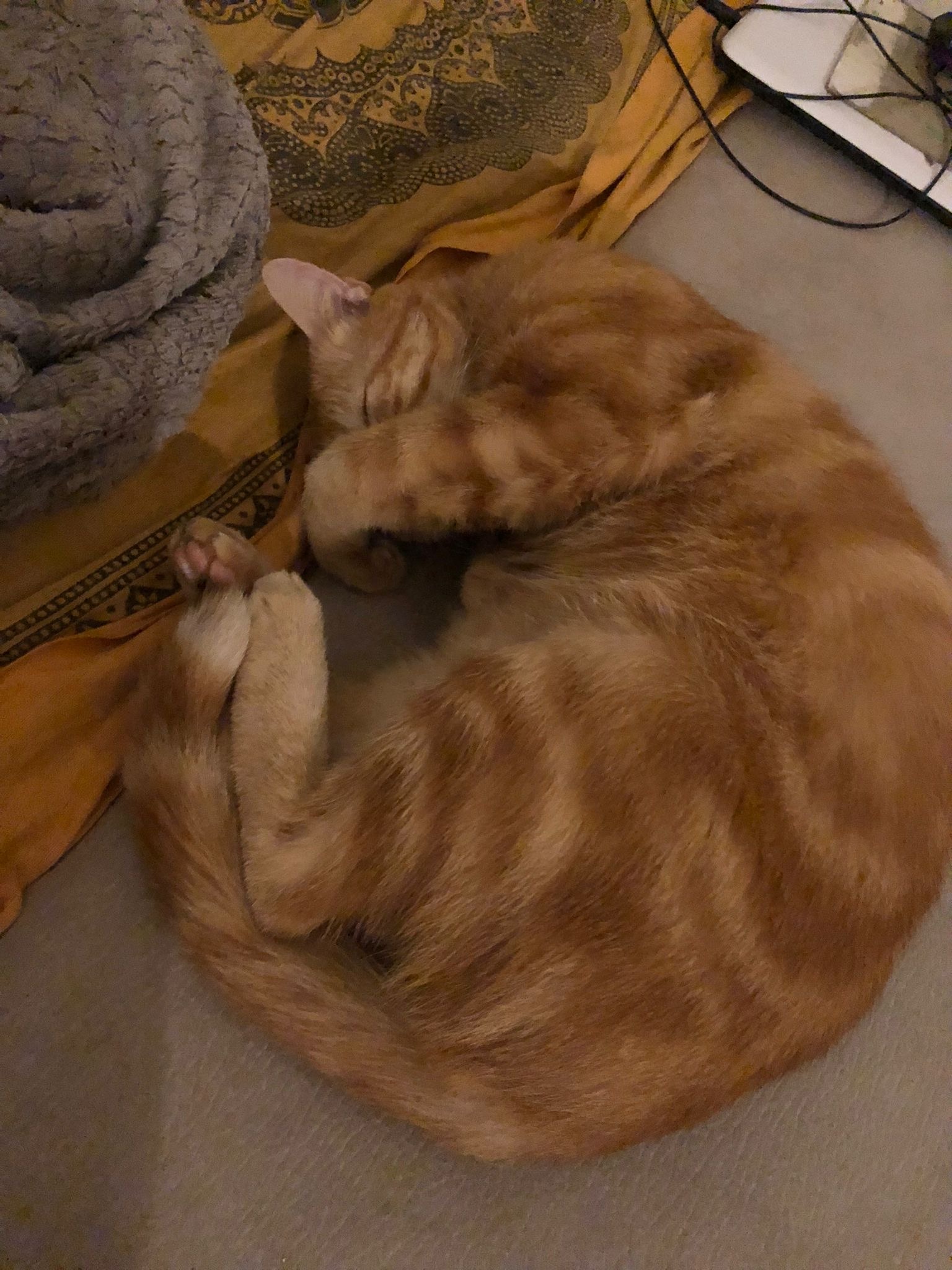 Profil de Jolann, 20 ans, Échangiste à Central Butte