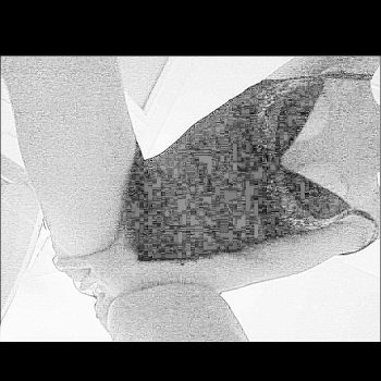 Profil de Kaena, 40 ans, Échangiste à Sacré-Cœur-de-Jésus