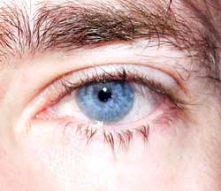 Profil de Mattéo, 53 ans, Échangiste à Spy Hill