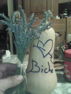 Profil de Brayton, 54 ans, Échangiste à St. Marys