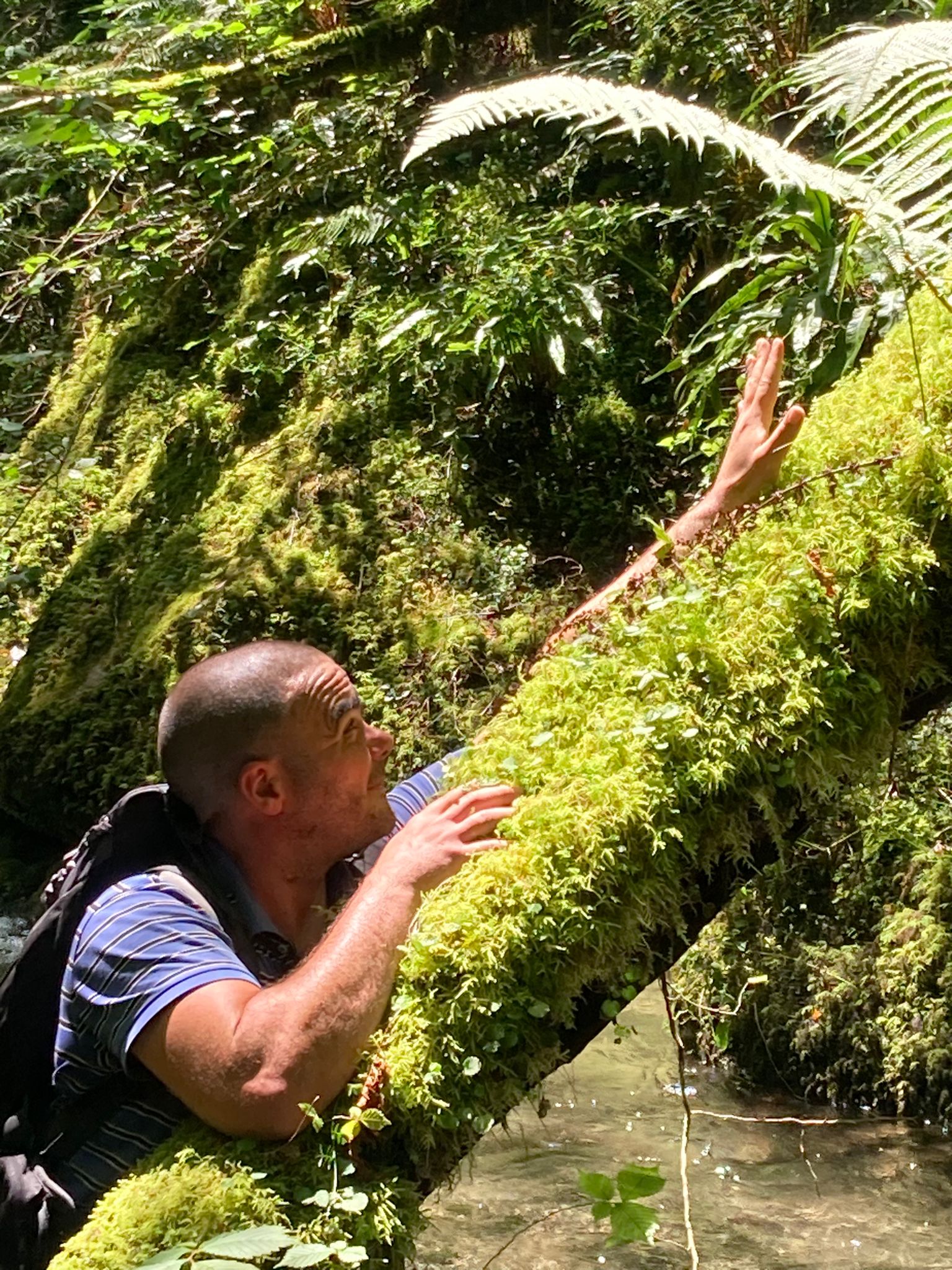 Profil de Howard, 42 ans, Échangiste à Torquay