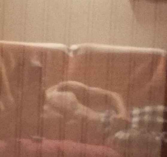 Profil de Guilaume, 23 ans, Échangiste à Hatley