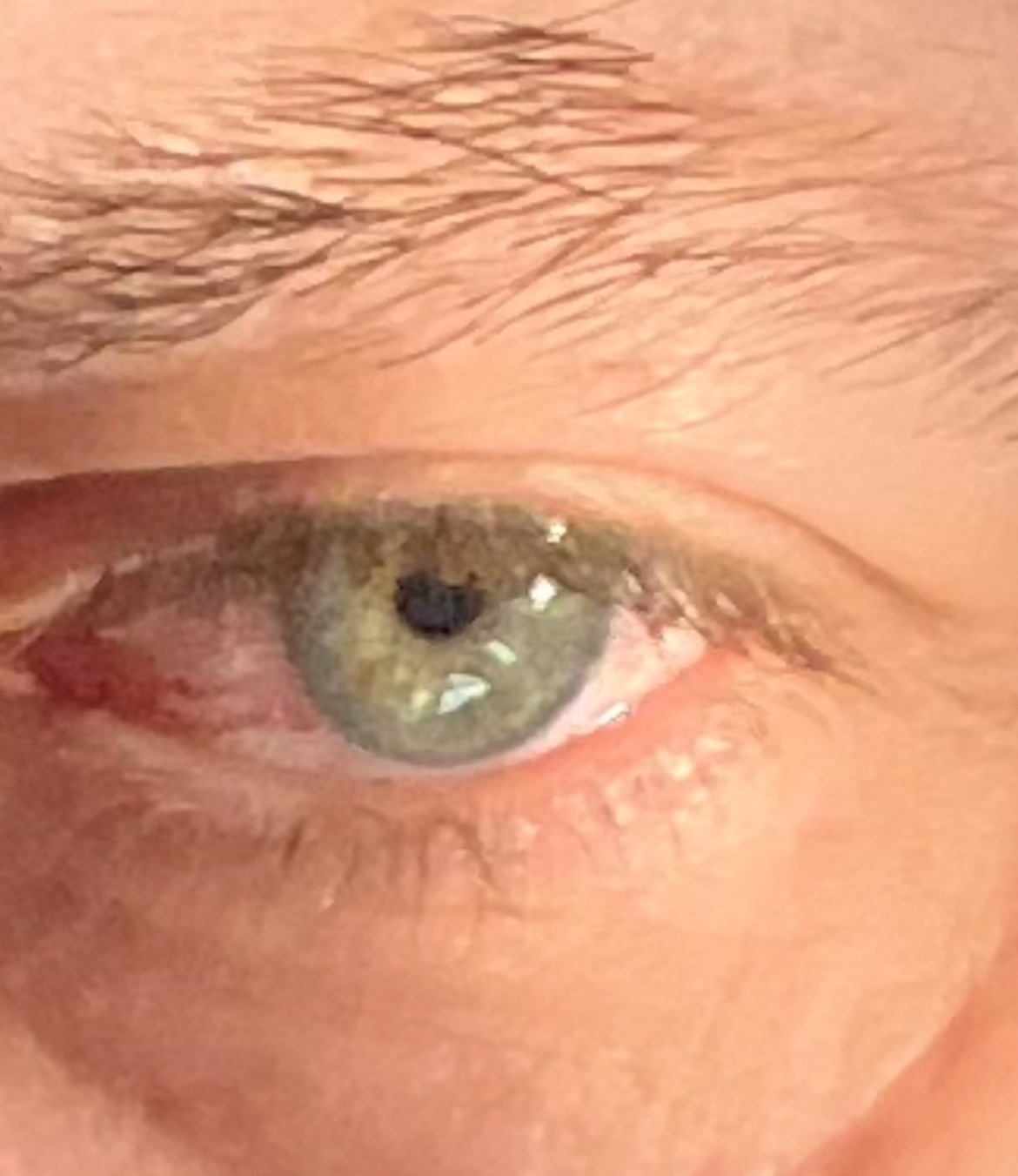 Profil de Mohamed-yassin, 50 ans, Échangiste à Hussar